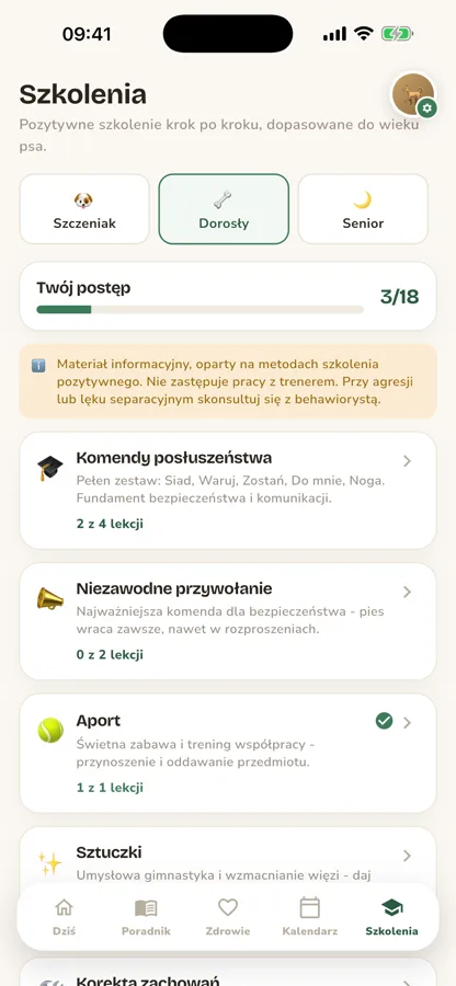 Szkolenia psa krok po kroku